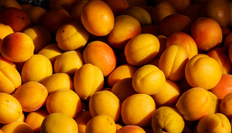 apricots